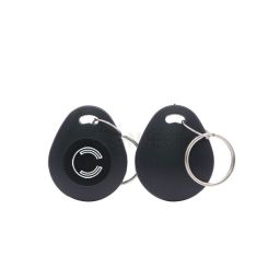 Access Control Proximity ID Token EM ID TK4100 125KHz RFID Keyfob