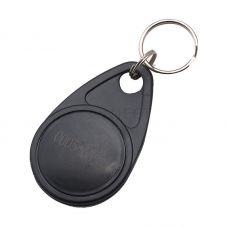EM4100 125KHz LF Proximity Blue RFID Key Tag Key Fob