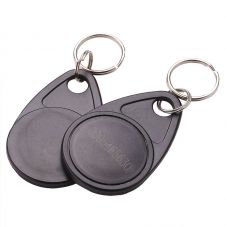 EM4100 125KHz LF Proximity Blue RFID Key Tag Key Fob
