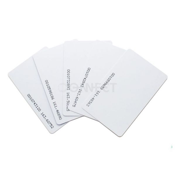 ID Number Print Passive EM Marin 125KHz Access Card RFID